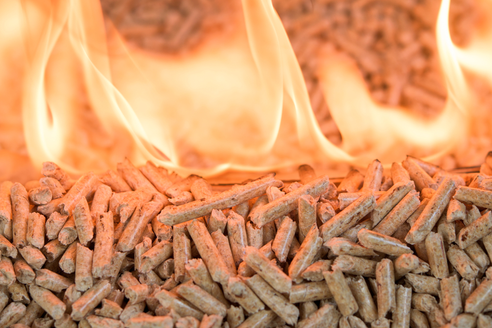 Pilha de biomassa de madeira em chamas, no processo de produção de geração de energia.